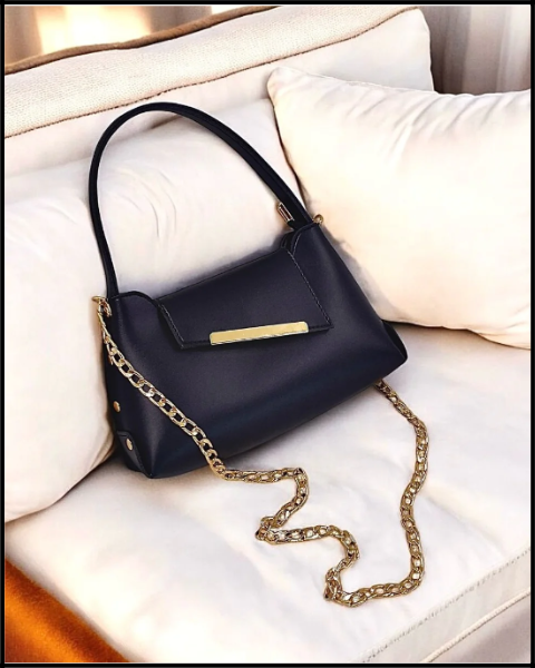 Trendy Ladies Hand Bag